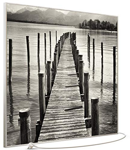STEINFELD Bild Infrarotheizung mit Thermostat | Made in Germany | viele Motive 350-1200 Watt Rahmen silber (1200W, 017 Steg Schwarz Weiß)