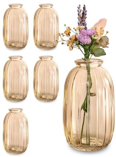 Praknu 6 Mini Glasvasen 11,8 cm Hoch - Vintage Blumenvasen - Traumhafte Deko für Hochzeit - Spülmaschinenfest - Tischdeko