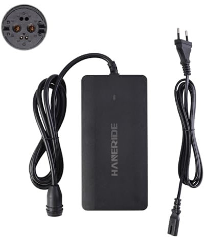 HANERIDE Rosenberger Chargeur lithium-ion 36 V 4 A de rechange pour batteries Kenevo 2018 36 V (42 V) avec prise Rosenberger