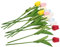 GRIRIW 12stücke Künstliche Tulpen Mit Real Touch Dekorative Faux Blumen Für Hochzeit Party Büro Und Zuhause Simulation Blüten Milchweiß Einfach Zu Verwenden Und Platzsparend