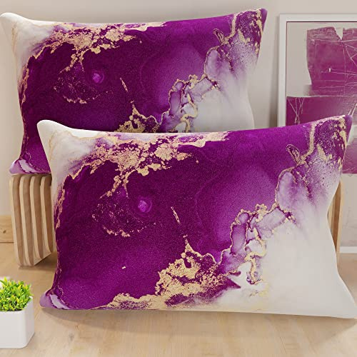 PETTI Artigiani Italiani - Coppia di Federe Cuscino 30x50 cm in Microfibra, Cuscini Arredo Camera da Letto, Divano, Salotto, Set 2 Fodere Copricuscino, Federa Marble Viola, 100% Made in Italy