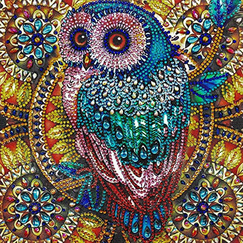 VETPW 5D DIY Eule Diamant Malerei Set, DIY Speziell Geformte Partial Drill Diamond Pasted Painting Strass Stickerei Kreuzstich Kunst Handwerk Diamant für Home Wall Wanddekoration (30x30CM)