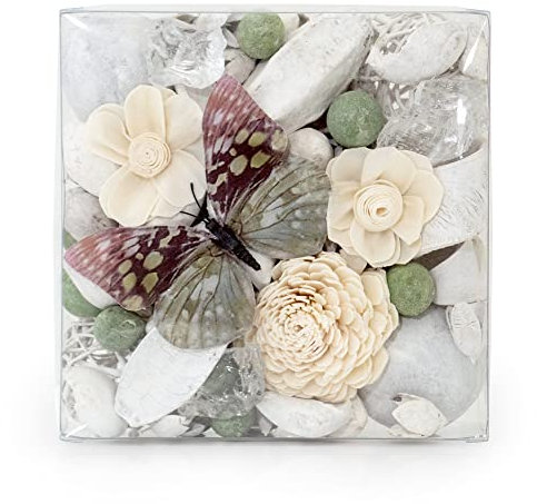 ANDALUCA Maison Box Fragrance Pot-pourri décoratif pour Vase et Bol Décoration d'intérieur (Paperwhite & Aloe)