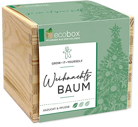 Feel Green - WE CREATE NATURE ecobox, Weihnachtbaum, Pflanzen Aus Der Holzbox 11x11x10cm, Made in Austria, Nachhaltige Geschenkidee, Grow Your Own/Anzuchtset