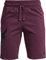 Under Armour Boys Project Rock Rival Shorts (Purple Level/Black - 569, Small)