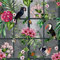 Papier Peint Cubain Tropicana oiseaux tropicaux Arthouse 924408