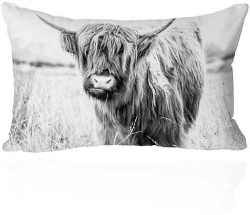 Western Highland Kuh Kissenbezug, Kuh-Druck, dekorativer Kissenbezug Kissen, rustikale Dekoration für Schlafzimmer, Sofa, Couch, Wohnzimmer (30,5 x 50,8 cm)