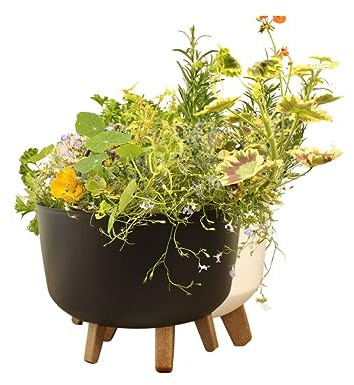 Gardening Naturally Indoor Plant Pot Zinnia Stylish and Durable Planter for Houseplants (Low Pot 24cm - Anthracite)