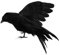 VOANZO Halloween Black Crow, realistische handgemachte gefiederte Krähe Prop Halloween Vögel Rabe Prop Dekor Outdoor Indoor Party Dekoration