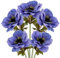 Briful 5er Set Künstliche Anemonen Kunstblumen Wie Echt Kunstzweige Blaue Frühlingsblumen, Länge 53 cm, Dekoblumen für Blumengesteck Home Resto Büro Dekoration