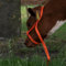 Kerbl Gesundheitswesen Halter Kuh Einstellbare Breite Orange
