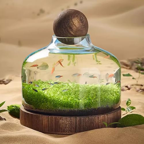 MegLob Acuario De Vidrio con Base De Madera, Tanque De Pescado De Micro Ecosfera, Intestino De Pescado Betta En Forma De Botella Transparente, Acuario Ecológico De Micro-Landscape,L