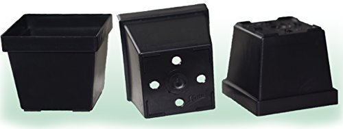Lot de 10 pots carrés 10 cm x 10 cm x 9 cm