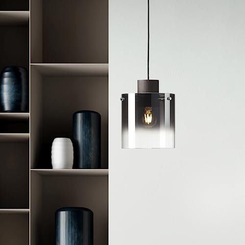 Lightbox Hängelampe - Pendelleuchte mit Glas Schirm & kürzbarem Kabel - 120 cm Höhe - E27 Fassung - max. 60 W - Ø 20 cm - aus Metall/Glas in Kaffeefarben/Rauchfarben