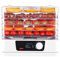 Essiccatore Alimentare a 5 Livelli - Essiccatore Elettrico 350W per Frutta & Carne, Temperatura Regolabile per Essiccazione di Frutta, Verdure, Jerky & Snack per Animali Domestici a Casa