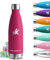 Botella Agua Acero Inoxidable, 500ml Botella Termica, sin BPA, Cantimplora Acero Inoxidable, Aislamiento al Vacío, Botella Aluminio, A Prueba de Fugas, Botella Agua para Escuela, Cafetería, Oficina