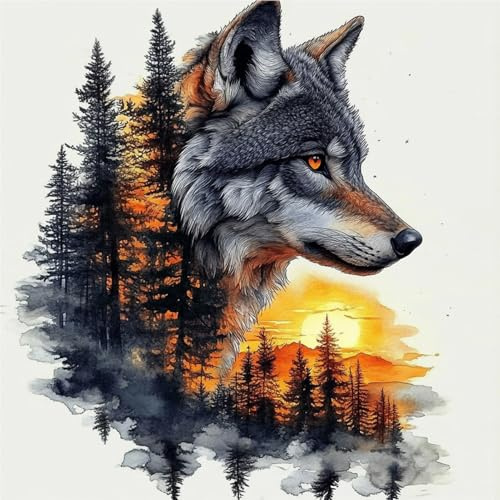 DAERLE Peinture par numéros pour adultes Loup au coucher du soleil, Peinture à l'huile à la main débutants, Animal de la forêt, Peinture par Numéros pour la Décoration de la Maison 40x40cm, Sans Cadre