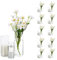 Deko Vase Glas Zylinder Tischdeko: Glasseam 10 Satz Blumen Vasen Set Modern Glasvase Rund Glaszylinder Blumenvase Tulpenvase Tischvase Fuer Hochzeit Wohnzimmer Tulpen Rose, 15/20/25cm Hoch
