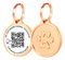 Pet Dwelling Premium NFC & QR Code Smart Dog Tag – Einfaches Scannen, sofortiger Profilzugriff, Standortwarnungen in Echtzeit (rotgoldene Pfote)