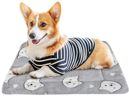 DEARBAG Hundekissen für Kleine Hunde und Katzen, 49 * 32cm Hundematte Flauschig Waschbar, Winter Warmes Hundebett Anti-Angst Katzendecke Hundedecke für Haustier Transportbox Sofakissen (Grau)