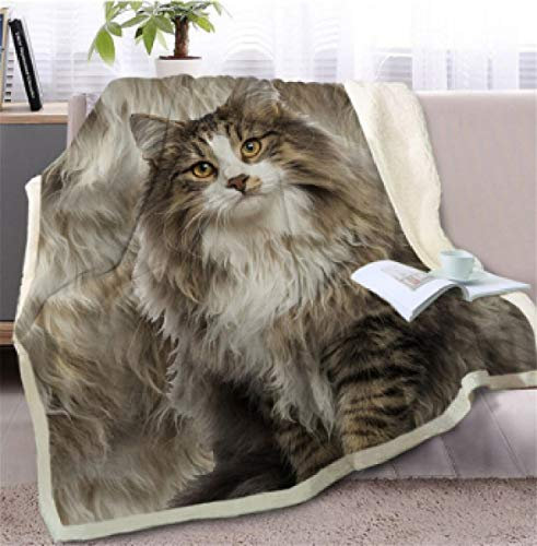 Morbuy Samt Leichte Decke, 3D Kuscheldecke Sofadecke Bettüberwurf Erhältlich Decke Tagesdecke Decke für Sofa und Bett Falten-beständig Schmusedecke (150x200cm,Träge)