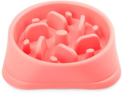 Txyk Gamelle d'alimentation Lente pour Chiens, Alimentation Ralentie et Interactive pour Les Animaux Bleu Durable de Cuvette d'eau de Boisson d'animal familier antidérapant (Rose)