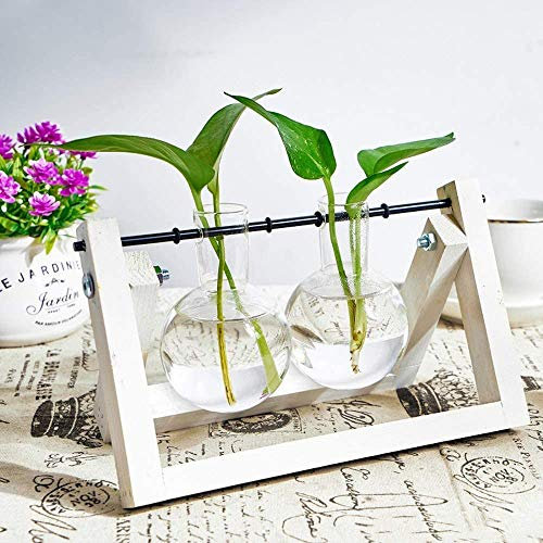 WayGlory Jarrón hidropónico decorativo con soporte de madera - Jarrón colgante de cristal - Jarrón de terrario para plantas hidropónicas - Decoración del hogar u oficina (blanco, 2 jarrones)