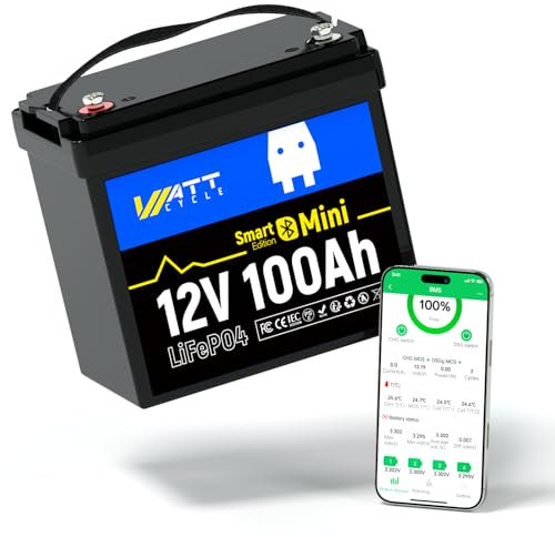 WattCycle Batteria al Litio LiFePO4 12V 100Ah con Bluetooth, BMS 100A, Monitorabile Tramite Bluetooth, 15.000 Cicli Profondi, Ideale per Motori Fuoribordo Marini e Camper