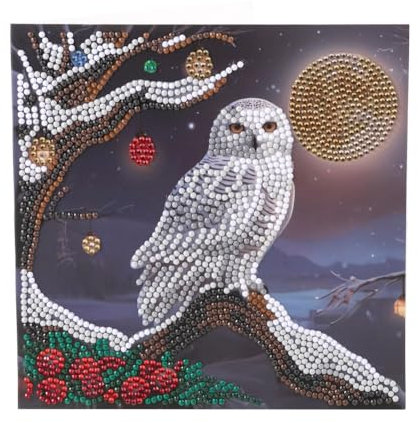 CRYSTAL ART Frosted Moon Owl - 18x18cm Card