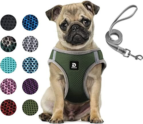 Hundegeschirr Set mit Leine für kleine Hunde - Brustgeschirr ausbruchsicheres Katzengeschirr Welpengeschirr Step-In Geschirr für kleine Hunde, Welpen, Katzen L Armeegrün