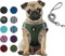 Hundegeschirr Set mit Leine für kleine Hunde - Brustgeschirr ausbruchsicheres Katzengeschirr Welpengeschirr Step-In Geschirr für kleine Hunde, Welpen, Katzen L Armeegrün