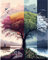 KQMGJYB Malen nach Zahlen Baum Erwachsene Mädchen,Paint by Numbers Diy Blumen Ölgemälde Teenager Geburtstag Geschenkideen für Home Flur Schlafzimmer Wand Deko