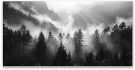 JOSUE Paysage Naturel Tableau Arbre minimaliste Tableau Peinture Sur Toile,Noir,blanc Tableau Grand Format Poster Mural Xxl ForêT Tableau-30x60cm Sans cadre