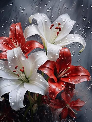 5D Diy Diamond Painting Erwachsene Kits Rote Und Weiße Lilie Diamant Malerei Groß Bilder Full Drill Cross Stickerei Sets Mosaikherstellung Kinder Malen Nach Zahlen für Home Decor Square 50x70cm D4018