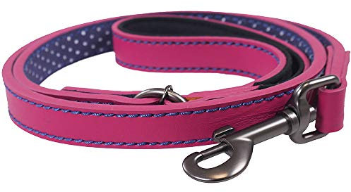 Rosewood Joules Pink Leather Dog Lead
