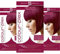Pflaumenblau permanente Haarfarbe mit Anti-Haarbruch Plex Haarpflege, vegane Haarfarbe & ohne Tierversuche, Haarfärbemittel ohne PPD,100% Grauabdeckung, Pflaumenblau Haarfarbe Smart Beauty (3er-Pack)