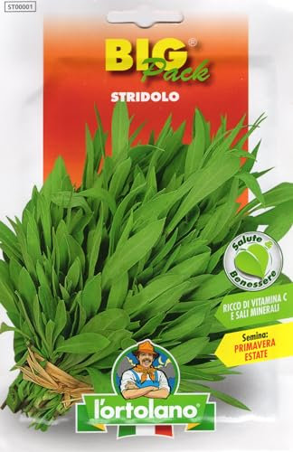 Stridolo da seme in confezione Big Pack (Una bustina)