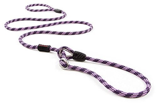 EZYDOG Luca Lead | 1.7m All-In-One, One-Size-Fits-All, Easy to Slip On, No Harness or Collar Needed (Purple)