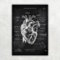 Animus Medicus Herz Anatomie - Chalkboard A3