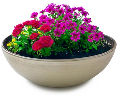 matches21 Pflanzschale für draußen - große Moderne Dekoschale Champagner beige foliert als Blumentopf Pflanztopf - Schale in 30 x 9 cm für Gartendeko Vogeltränke, Balkon Wohnzimmer Deko