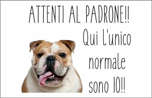 M-ITALY CARTELLO SEGNALETICO - BULLDOG INGLESE ATTENTI AL CANE - Adesivo Extra Resistente, Pannello in Forex, Pannello In Alluminio (20x31, Alluminio)