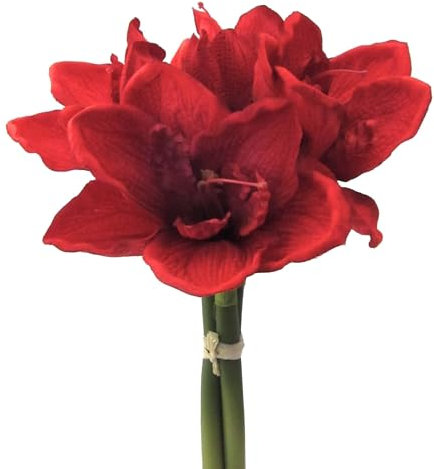 CREATIV green Amaryllis Bund 32cm in rot I Weihnachtsdeko Amaryllis mit 3 Stielen I künstliche rote Amaryllis Weihnachtsdeko I hochwertige & stilvolle Kunst-Amaryllis I künstlicher Blumen-Bund