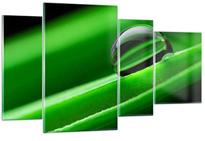 Mehrteilige Bilder auf Glas Pflanze Tropfen Wasser Blase Glasbild 120x70cm Wandbilder Dekoration Wohnzimmer Schlafzimmer Küche Set 4 teilige Groß Wanddeko Wand Kunstdruck Art Modern GDL120x70-2352