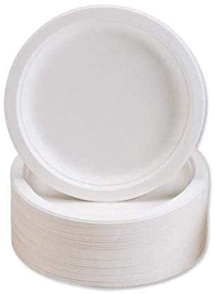 Premium 9 Inch Sugarcane Bagasse Disposable Plates (Pack of 500)