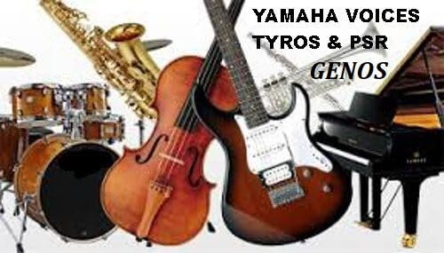 Expansion Voices USB, pour YAMAHA Genos-Tyros-Psr S/SX DGX