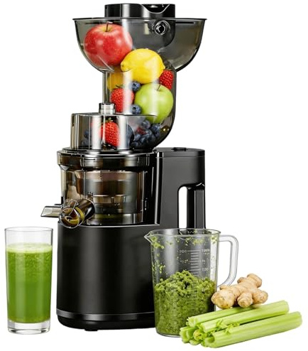 Extracteur de Jus, 500W Extracteur de Jus de Fruits et Légumes Entiers, Grande Ouverture de 170mm Slow Juicer, Sans BPA, 99% de Rendement, 2 Récipients, Facile à Nettoyer et à Installer