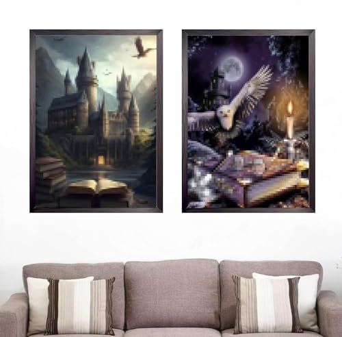 oosheon 2 Stück 5D Diamond Painting Set Erwachsene 30x40cm DIY Diamant Painting Bilder Nachtschloss Eule Diamant Malerei Geeignet Für Anfänger Für Zuhause, Wanddekoration, Geschenke