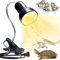 Tortoise Heat Lamp Basking Lamp, 3 Bulb UVA UVB, Heat Spotlight Reptile Light Aquarium Basking Light with Holder for Tortoise Bell Turtle Snake Lizards Terrarium Amphibian, E27 25W 50W