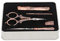 Vintage-Stickscheren-Set, Nähschere Im Europäischen Stil mit Näheisenbox, Fingerhut, Einfädelnadel, Ahle, Spritze, Nähschere Zum Nähen, Kunsthandwerk, Handarbeiten
