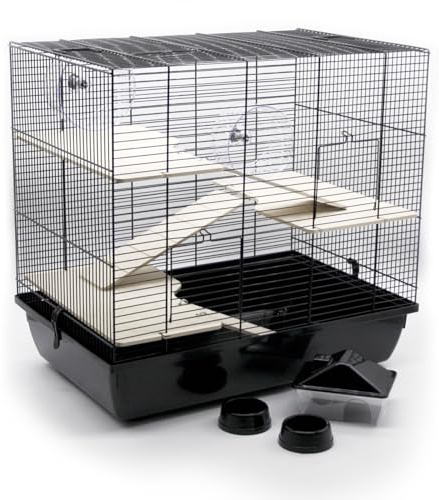 ZooPaul Premium Nagerkäfig XXL für Kleintiere Schwarz inkl. Zubehör aus Holz 60x36x54 cm Maus Hamsterkäfig